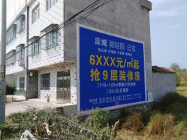 德格墙体广告质量分析